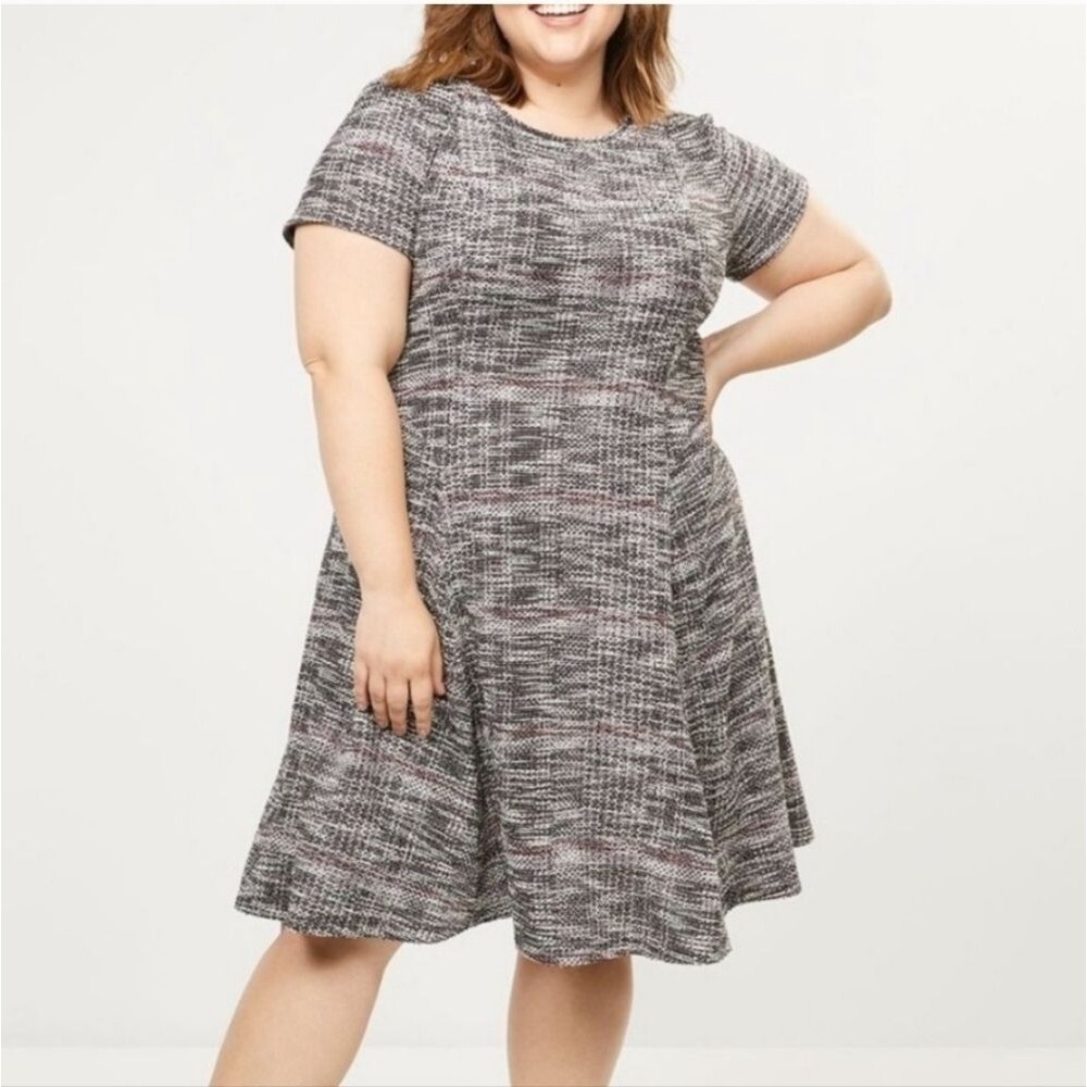 NWT Lane Bryant Plus Size Cotton Blend Fit & Flare Black & WineTweed SZ 28